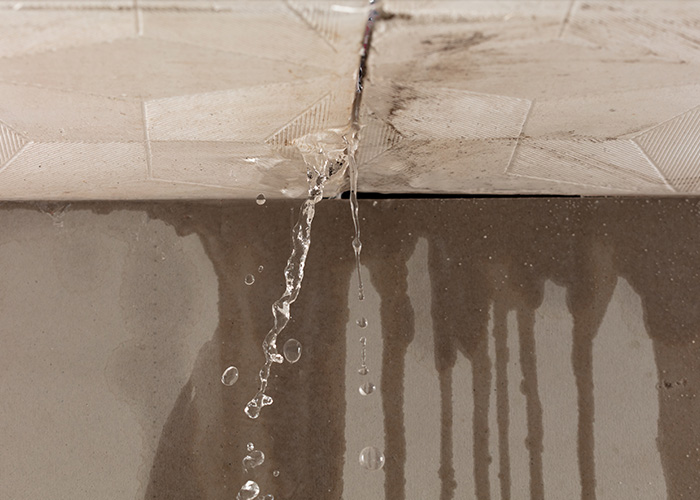 Window Wells & Foundation Leaks